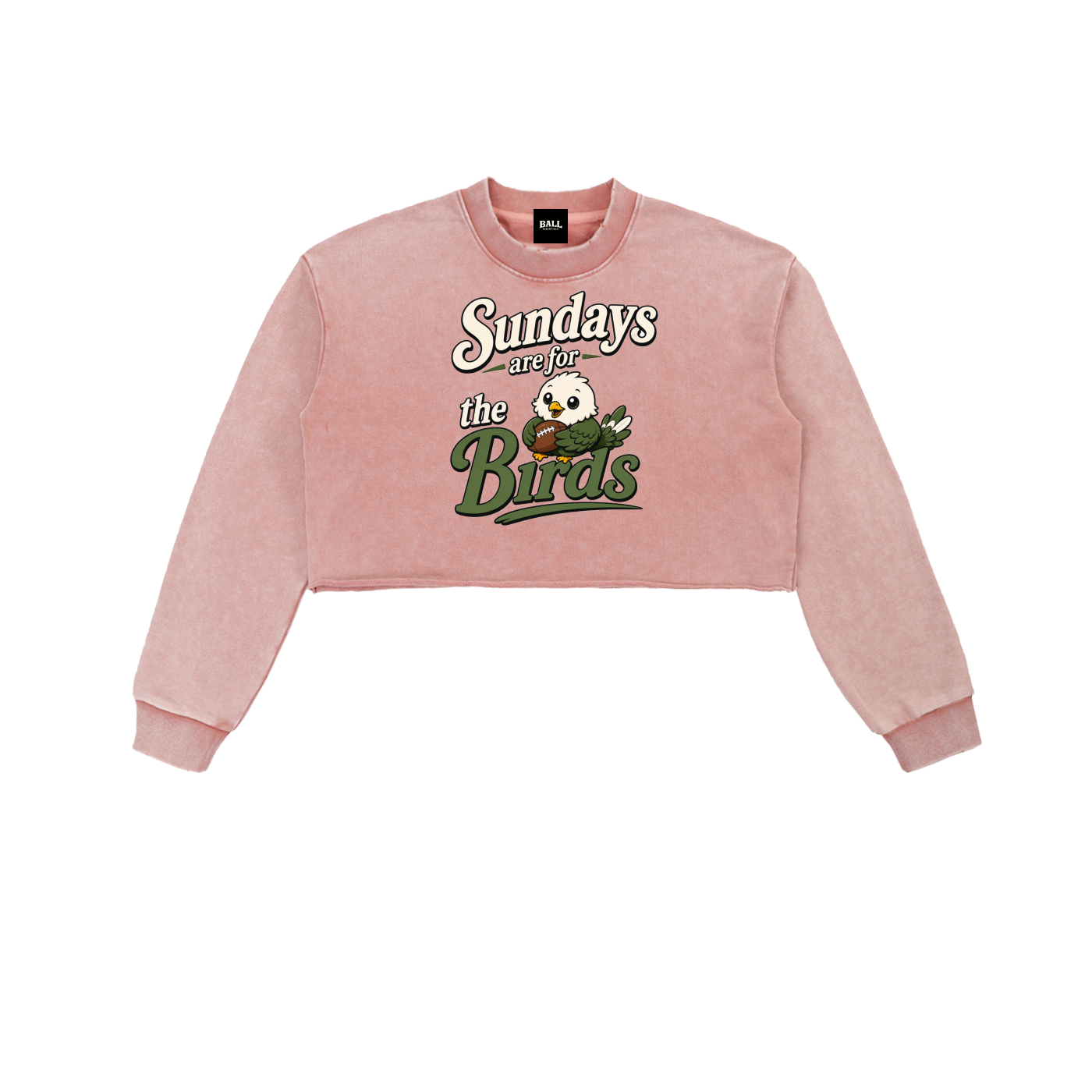 Snow Washed Raw Edge Cropped Sweatshirt