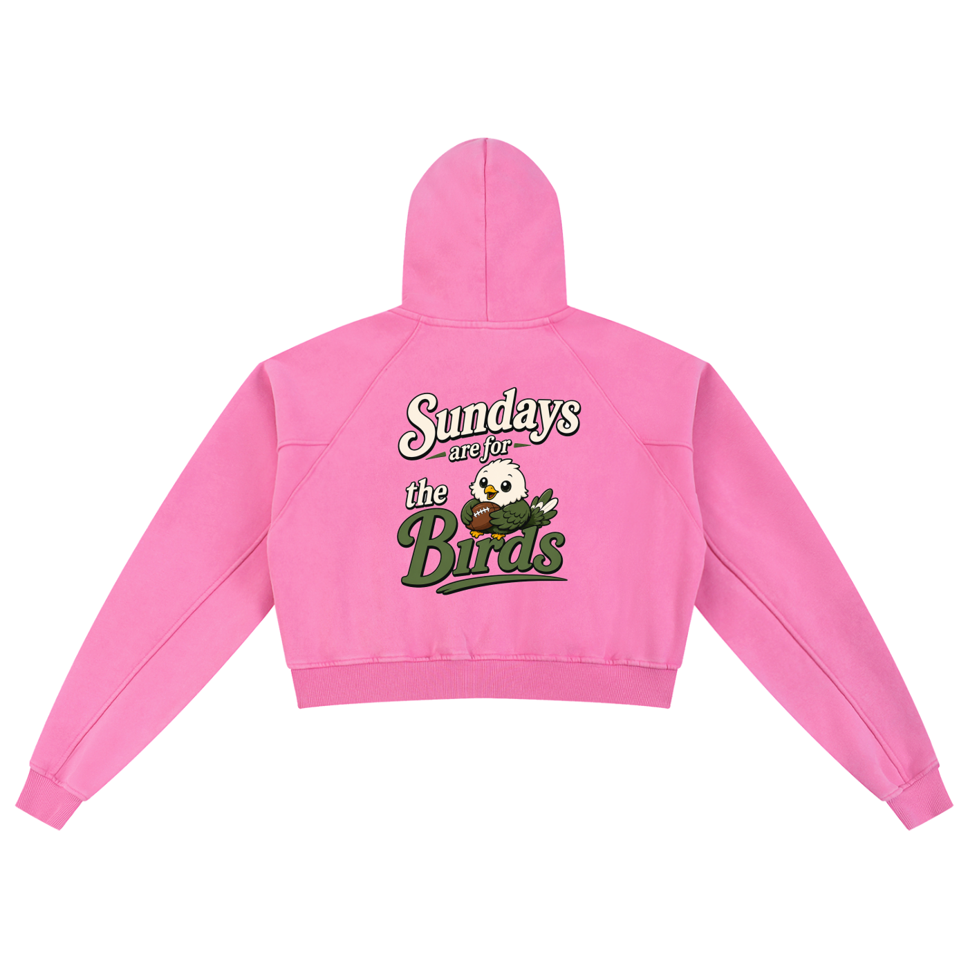 Snow Washed Cropped Hoodie