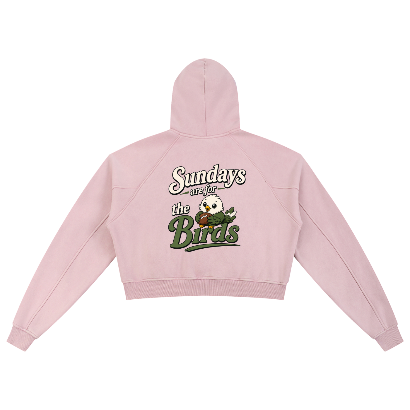 Snow Washed Cropped Hoodie