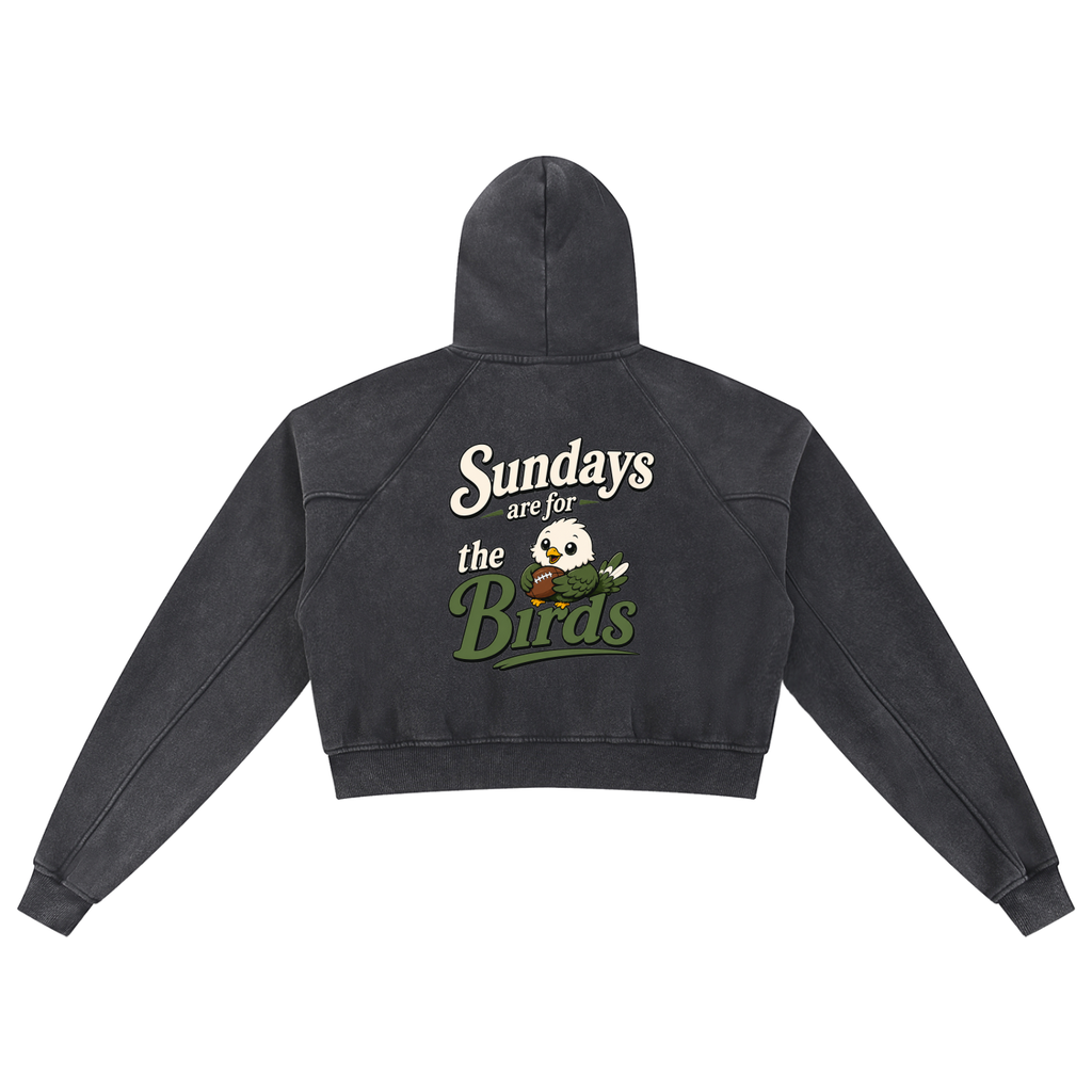 Snow Washed Cropped Hoodie