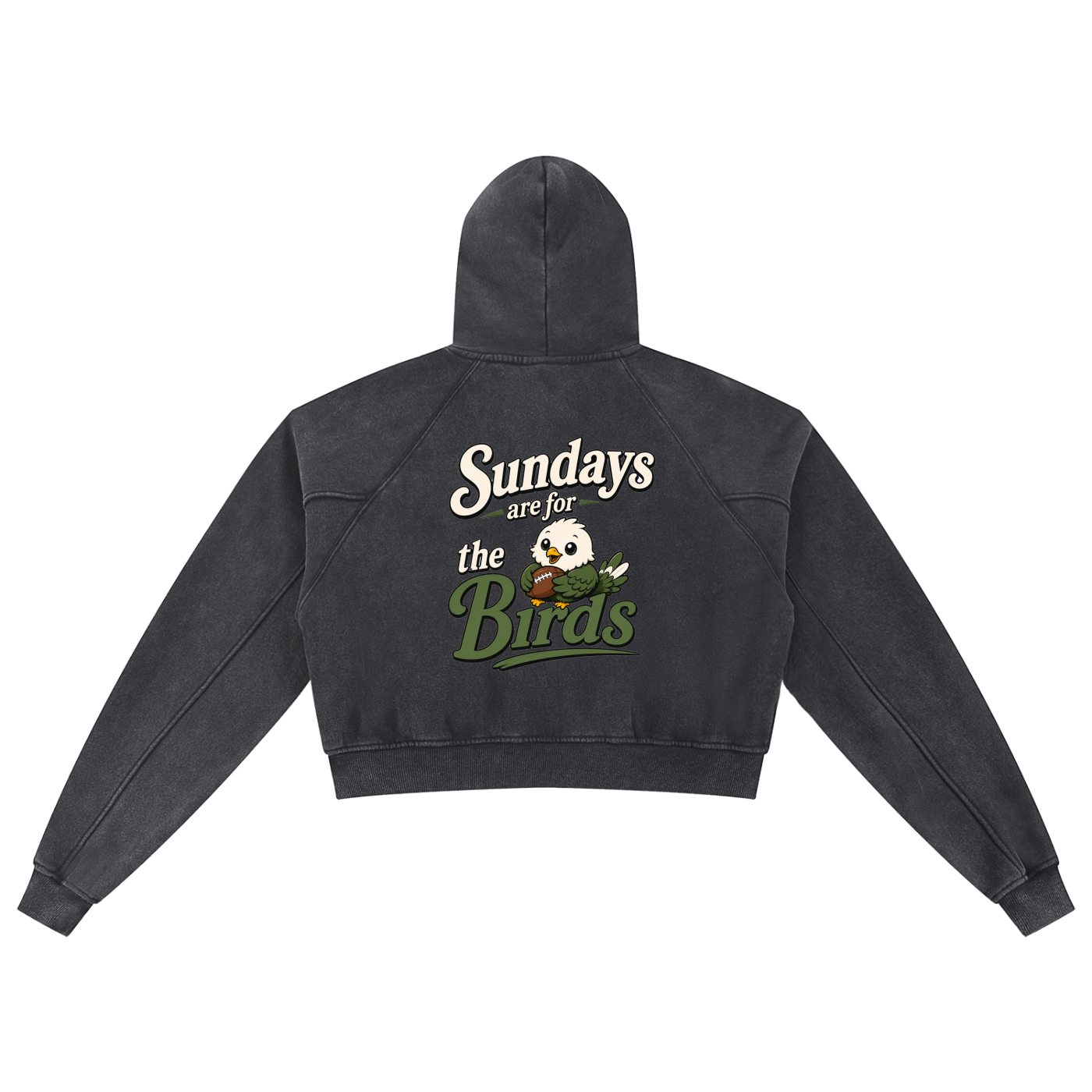 Snow Washed Cropped Hoodie
